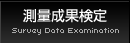 測量成果検定